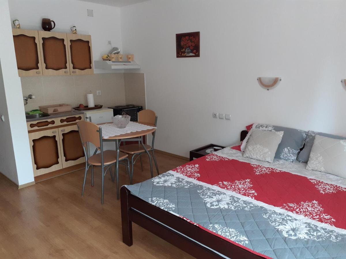 Apartmani "Vila Jelena" Arandelovac Zewnętrze zdjęcie