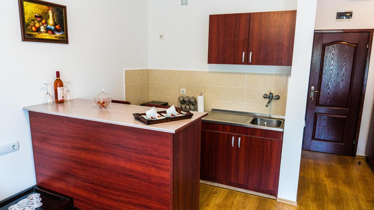 Apartmani "Vila Jelena" Arandelovac Zewnętrze zdjęcie