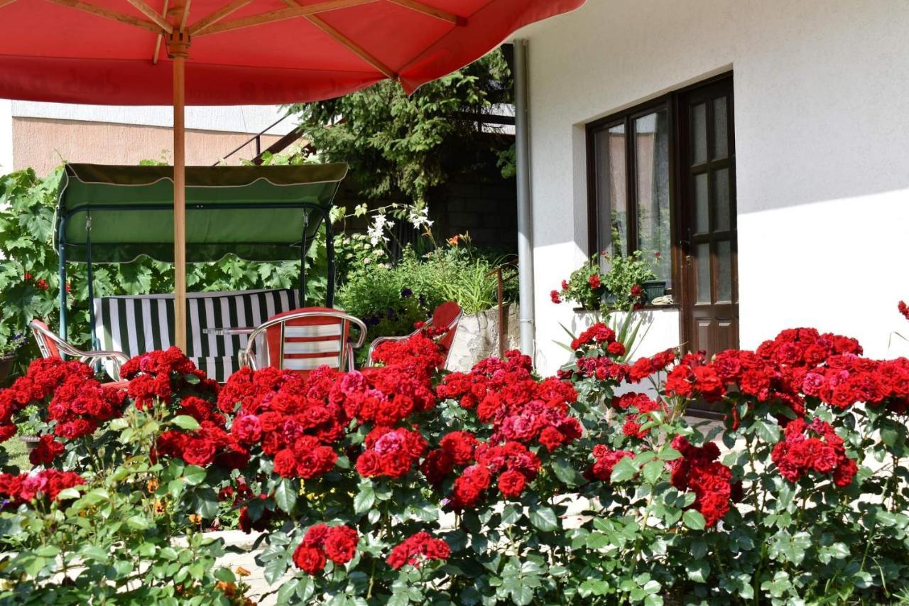 Apartmani "Vila Jelena" Arandelovac Zewnętrze zdjęcie