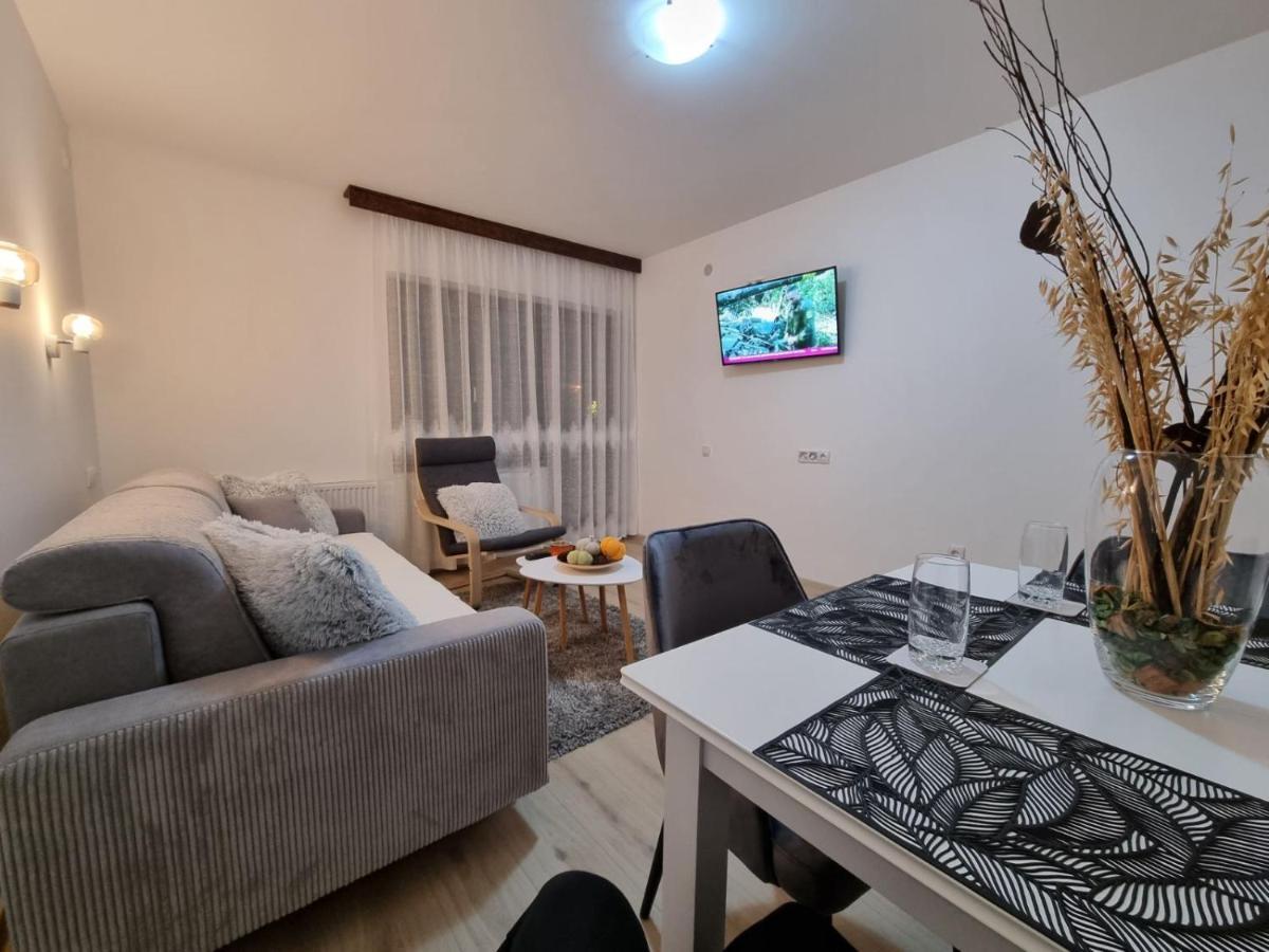 Apartmani "Vila Jelena" Arandelovac Zewnętrze zdjęcie