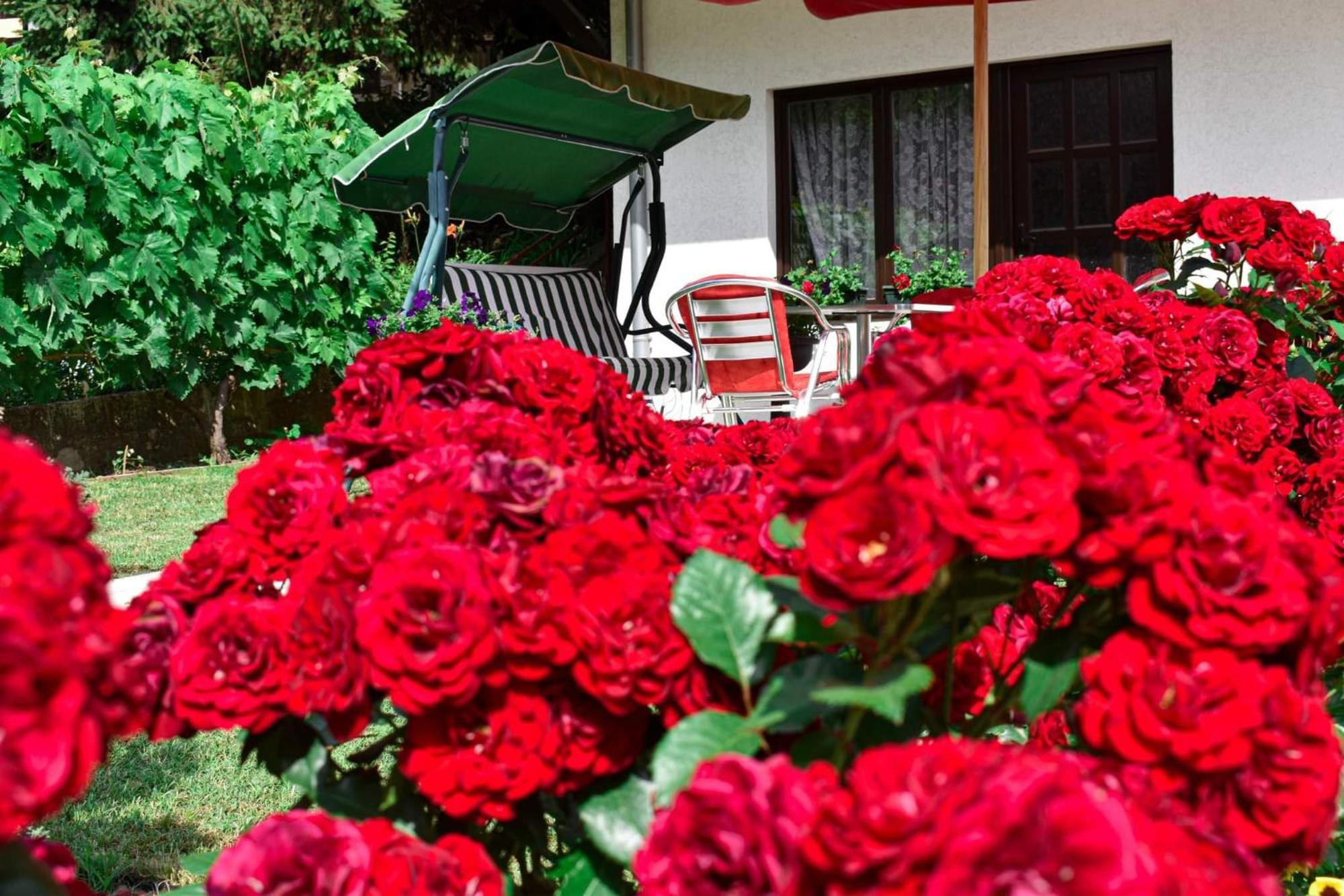 Apartmani "Vila Jelena" Arandelovac Pokój zdjęcie