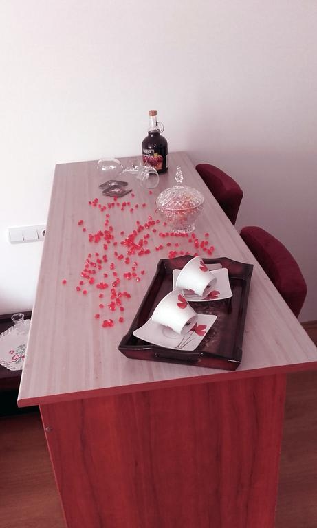 Apartmani "Vila Jelena" Arandelovac Zewnętrze zdjęcie