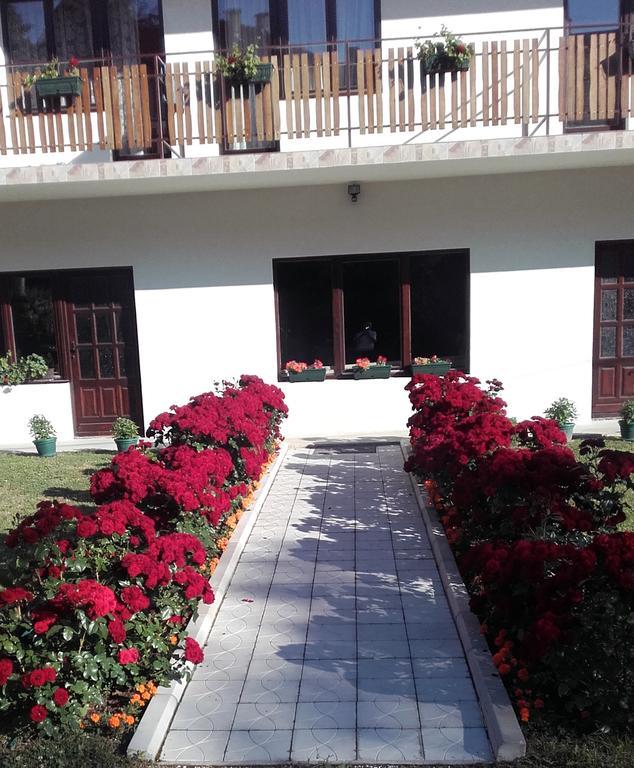 Apartmani "Vila Jelena" Arandelovac Zewnętrze zdjęcie
