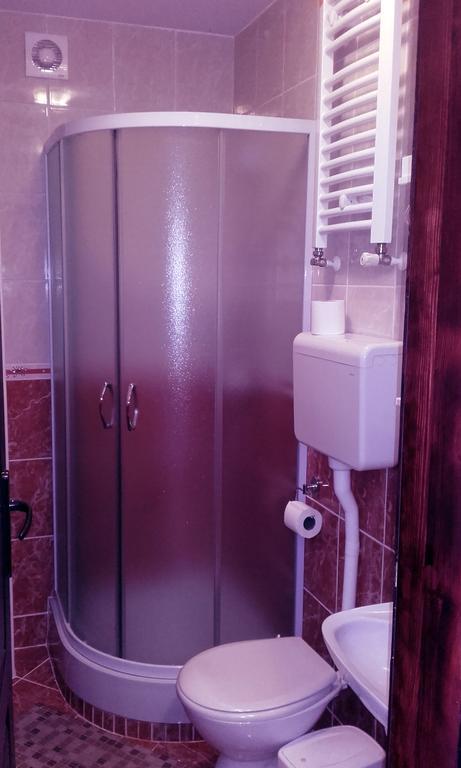 Apartmani "Vila Jelena" Arandelovac Zewnętrze zdjęcie
